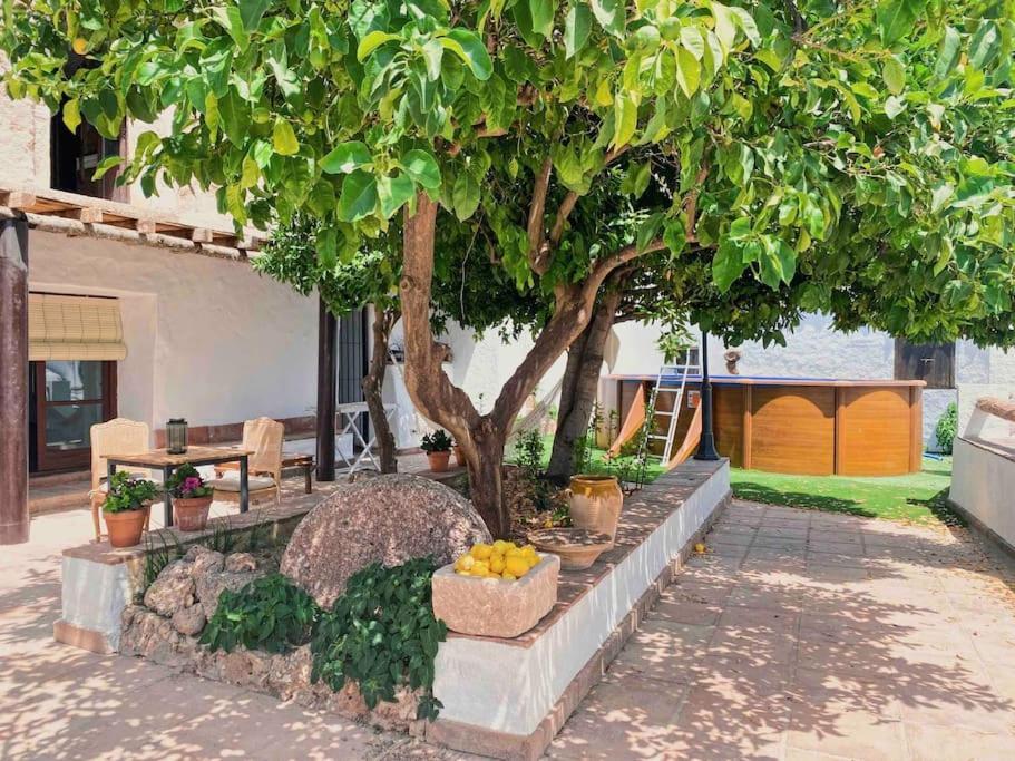 La Palmera. Casa Rural Con Piscina Privada. Benadalid Ngoại thất bức ảnh